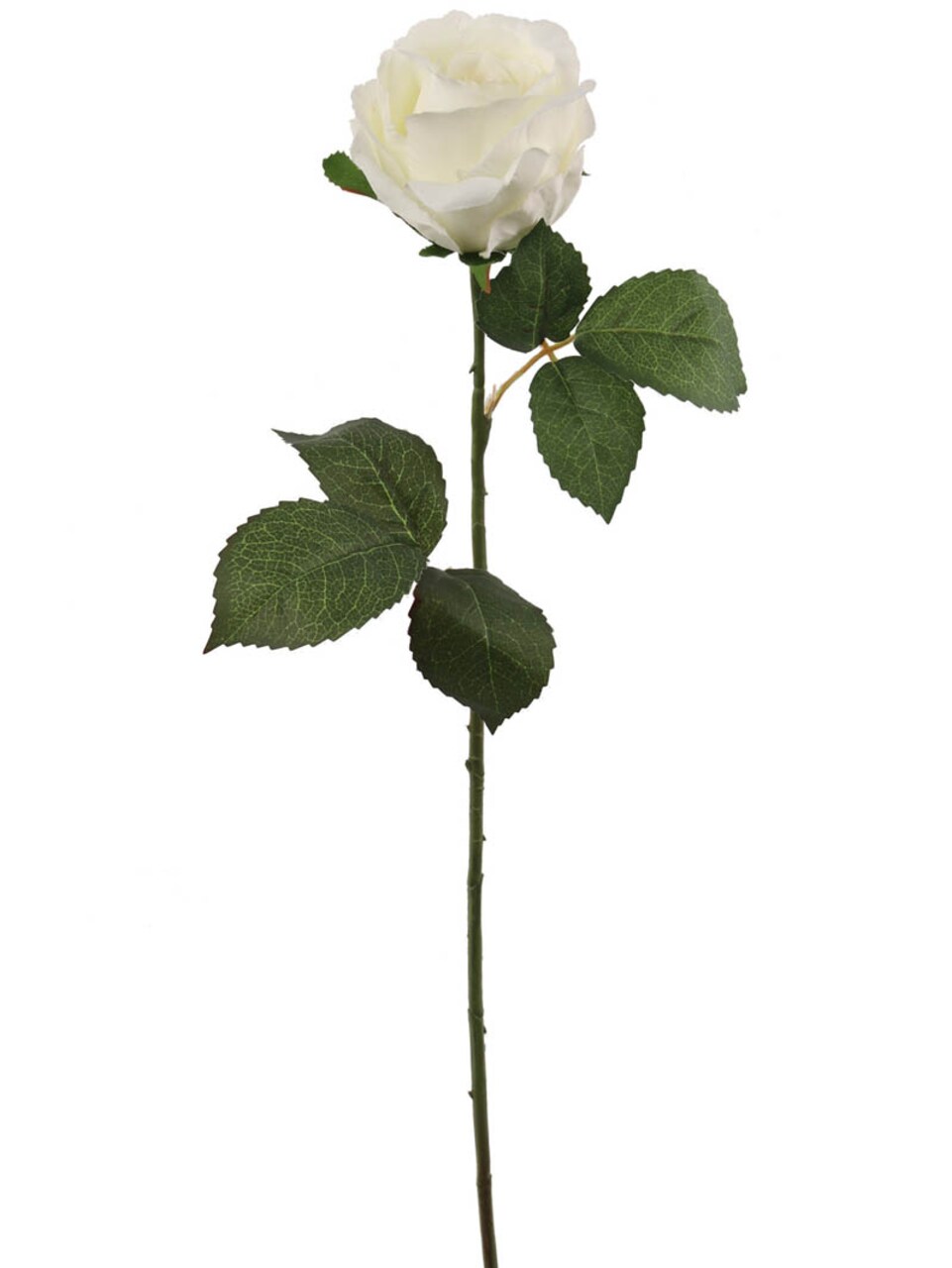 Enchanting 20&#x22; Rose Bud: A Timeless Symbol of Love and Beauty for Exquisite Floral Arrangements